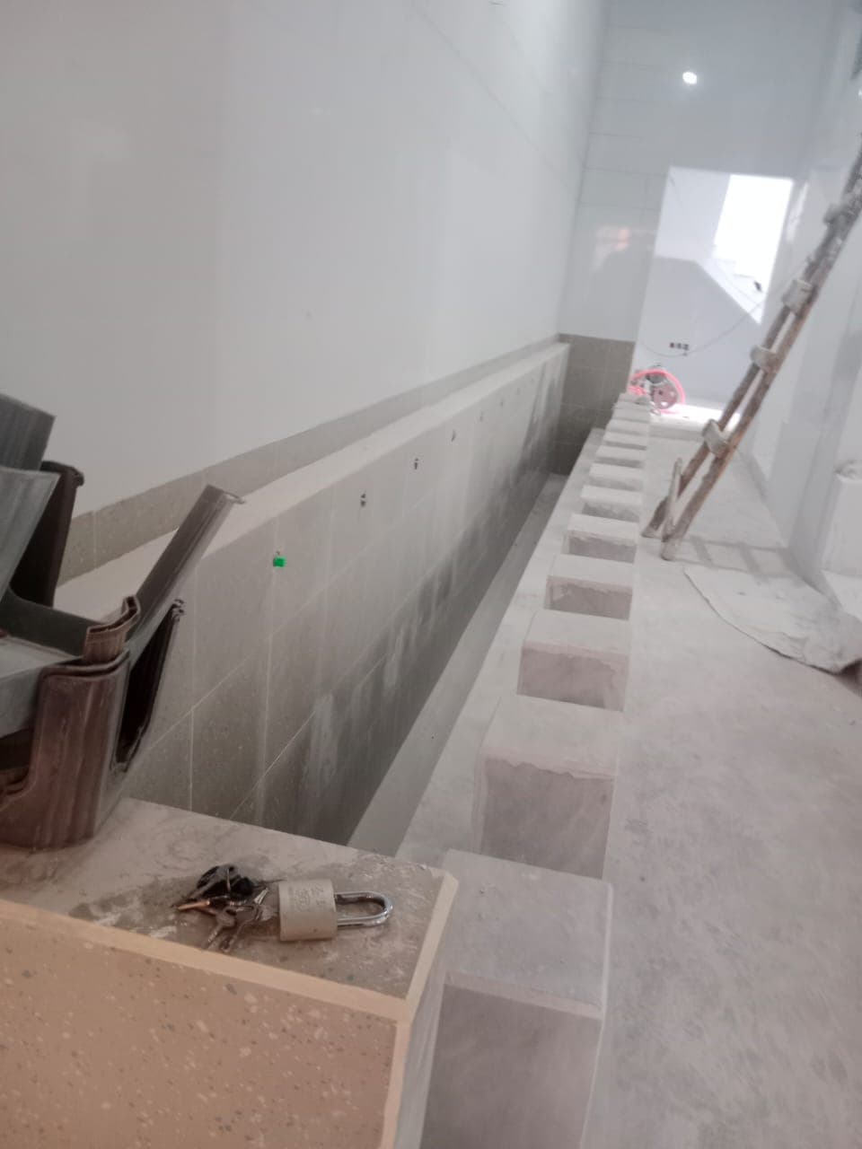 Pakistan Flood Relief Program